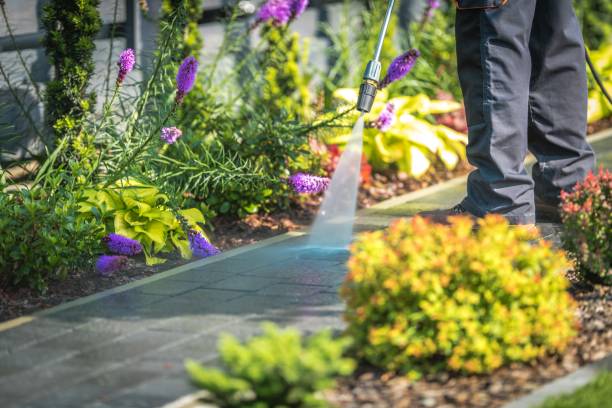 Best Spring Cleaning  in Inniswold, LA