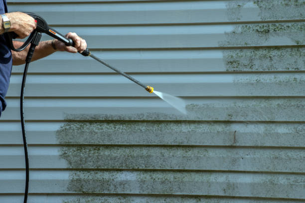 Best Warehouse Cleaning  in Inniswold, LA