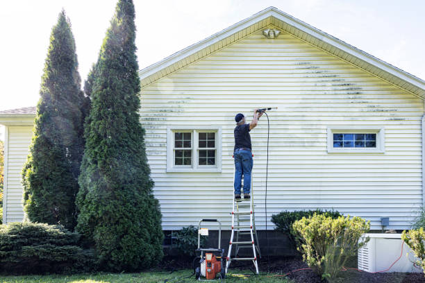 Best Building Exterior Washing  in Inniswold, LA